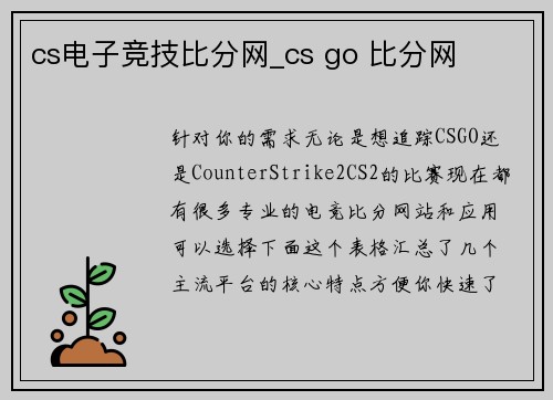 cs电子竞技比分网_cs go 比分网