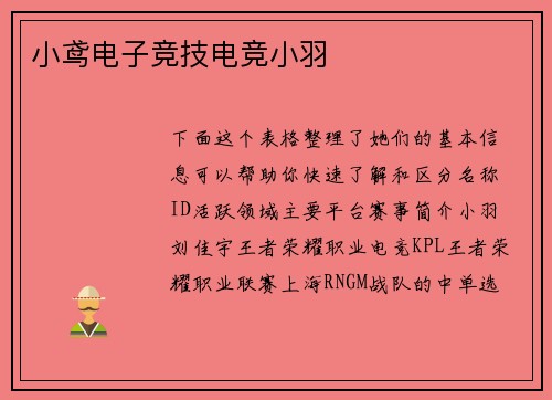 小鸢电子竞技电竞小羽